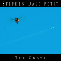 “Stephen Dale Petit has come a long way since his first album Guitararama was released a couple of years ago. [...]