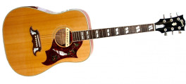 Gibson<br>Dove<br>2005